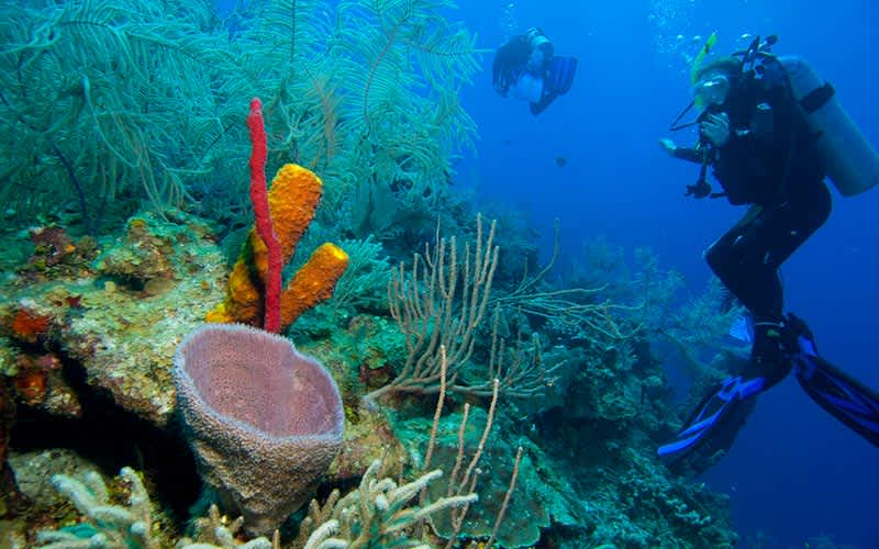 Great-Blue-Hole-Belize